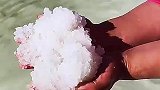 水里长的大米，简直不敢相信