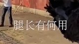 腿长不一定帅，主要看脚下