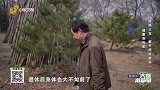 辨证施治来达到扶正固本抗癌解毒的目的
