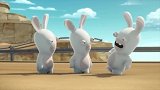 疯狂的兔子：被游泳圈圈住的兔子发现了一只鸟，鸟儿帮助了他