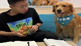 豆爸让豆豆监督哥哥不让他玩手机，看豆豆怎么做的，结果搞笑了