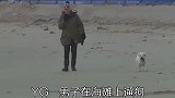 冷知识盘点，三件新奇事物，为成功人士相亲的媒婆，真正的狗屎运