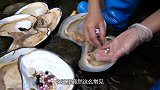 大姐出门赶海捡蚌壳，一下开出超多珍珠，不想发财都难！