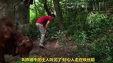 小野猫被卡住脑袋，被救后成为人类的朋友，太有爱了
