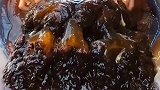 告诉你们个秘密，海蜇只吃浮游生物，至于鱼和虾是他放进去的