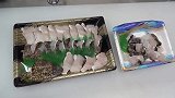 原汁原味的海鳗刺身，蘸酱直接吃