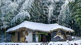 隐居山林，是种观世淋雪慕风，是种姿态！
