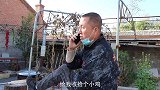 小鸡炖蘑菇很有名，其实小鸡炖酸菜也很好吃，鸡肉软烂，味道很好