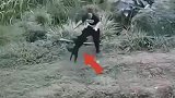 被恶狗袭击，小伙徒手捏死