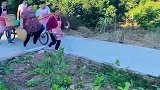 我的乡村生活万事俱备，只欠东风