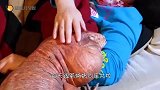 猫和狐狸的对决，猫的功夫可不是花架子，镜头记录全过程