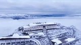 下雪啦！万源八台山银装素裹宛若水墨画