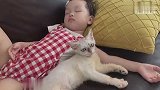 一只毁容流浪猫的逆袭,照顾它我做了这三点