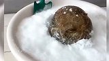 大哥第一次见雪，一动不动的，这是看傻眼了吗？