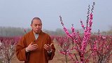 在生活里发现美好