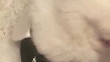 讲承诺的人都聪明要死，信承诺的数学都二三十分