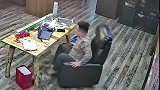 这椅子不能好好坐吗