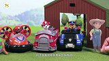 汪汪队玩具王国：衣服跑小猪身上，小猪生气了，狗狗怎么办啊？