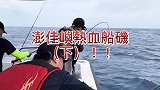 船矶钓，倒吊鱼红甘鱼白毛鱼黑毛鱼，都是大体型的，爽歪歪