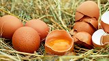 如今鸡蛋价格上涨，多地报价超12元1公斤，春节前还会涨价吗？