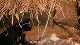 江苏发现明朝古墓，出土文物令专家惊喜不已，全球只有一件