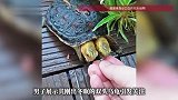 男子养双头龟6年，冬眠醒来超黏人：两个脑袋具有独立思想，各控制一半身体