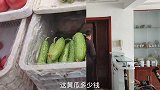 烟台海鲜大降价，看看今天蛤蜊1斤多少钱，买些回家做海鲜打卤面