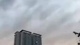 女子手机拍美景忘了手上还牵着狗