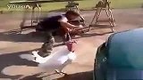 瞧你那小样 还敢跟鸡哥斗