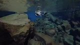 视频公司-冰岛的自由潜水 世界上最干净清澈的水底之一