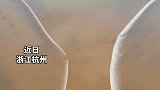 钱塘江现震撼“十字交叉潮”，潮水碰撞交汇气势如虹