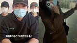 怒怼“卢书记”志愿者发声，他还澄清了2个谣言