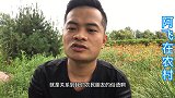 老人言，农村俗语“十年难富种田翁，一年能发江湖客”早看早受益