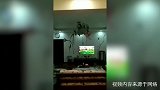四川球迷家中淡定看女足世界杯 客厅吊灯地震中剧烈摇晃