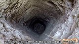 狗掉进洞里竟然毫发无损，最后被从洞里带了出来