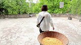 四川方言：老表给邻居帮忙干活还付钱？原来是有私心！