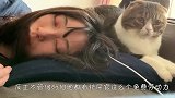 柴犬玩雪一时爽，回到家后成了这样，差点笑岔气