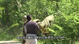 被认定灭绝30年的动物，居然在越南重现，科学家震惊不已！