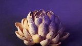 水果蔬菜改刀小技巧