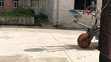 老二你来晚了