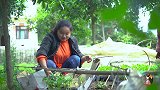 这才是正宗的贵州剁椒制作方法，做法很简单，一看就会