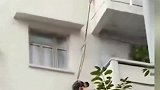 外婆为救猫，用绳子将7岁孙子从5楼吊下，外婆：知道错了