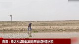 袁隆平团队在柴达木盐碱地试种海水稻