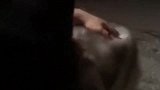 二哈就是二哈，向铲屎官飞奔而来速度太快尴尬了！逗得主人大笑！