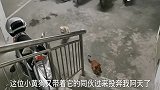 流浪狗纳投名状，带着同伙投奔小伙，为能填饱肚子加入阿天军团！