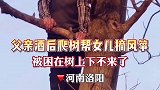 醉酒父亲爬树帮女儿摘风筝，困在树上打哈欠逗乐网友父亲