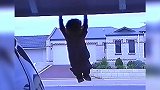 萌娃车库吊单杠臂力惊人 这么早就增高是不是过分了