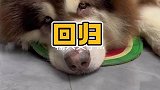 我的好日子可是到头了