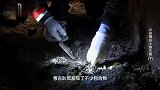 别看是个大墓，但石碑上的文字让人深思！这墓主什么来历？