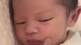 如果会说话估计早就嗷嗷起来了